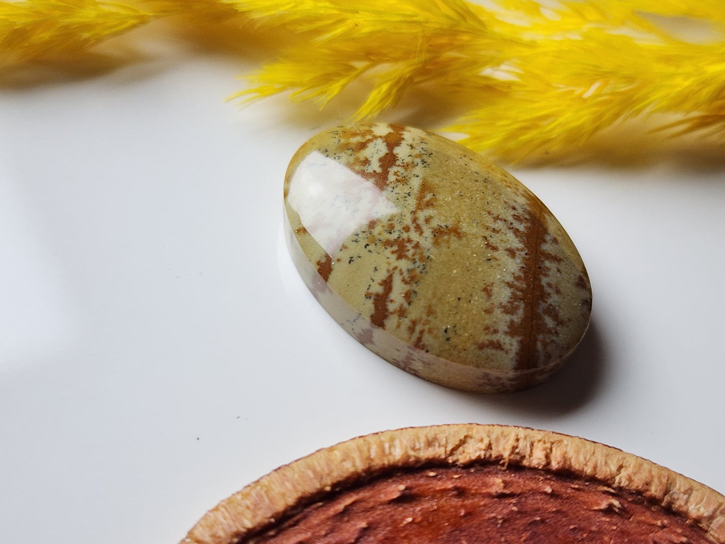 Owyhee jasper