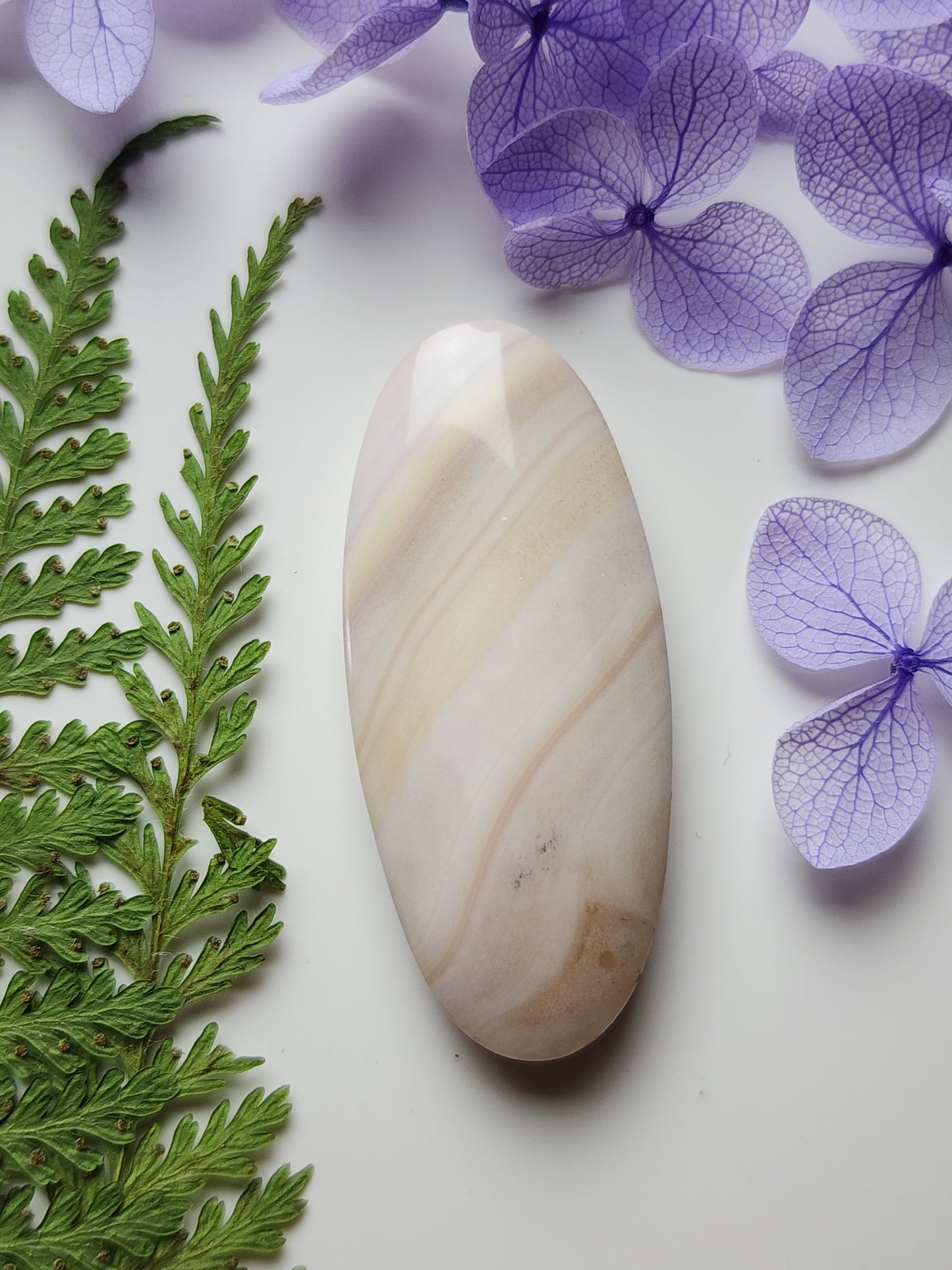 Windy Mountain jasper