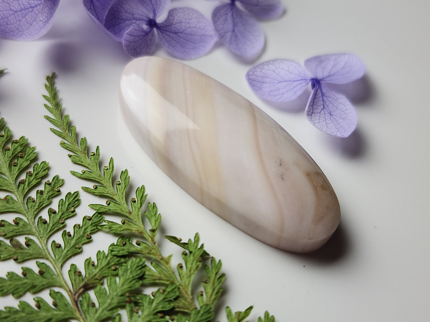 Windy Mountain jasper