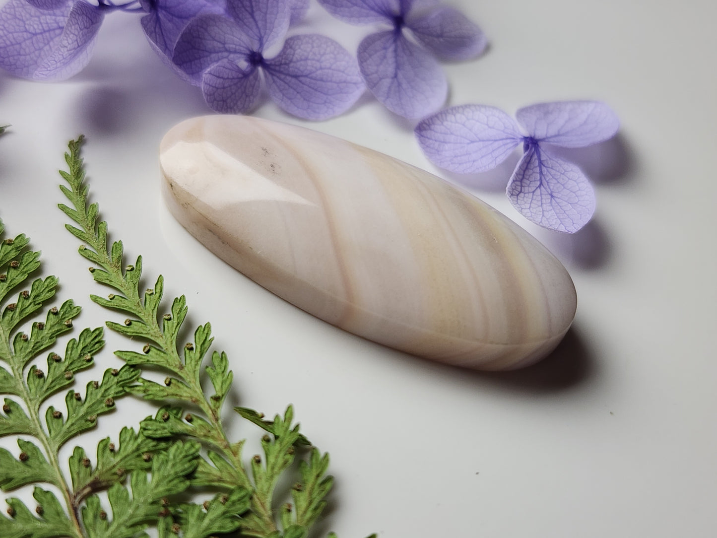 Windy Mountain jasper