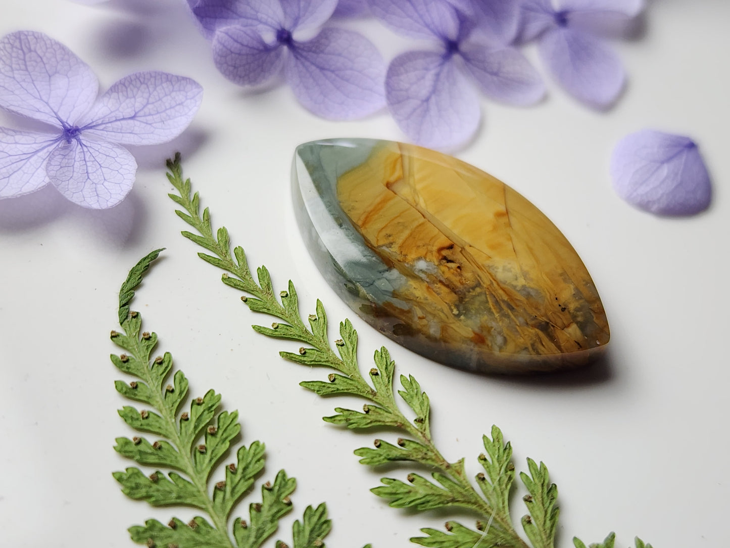 Morrisonite jasper