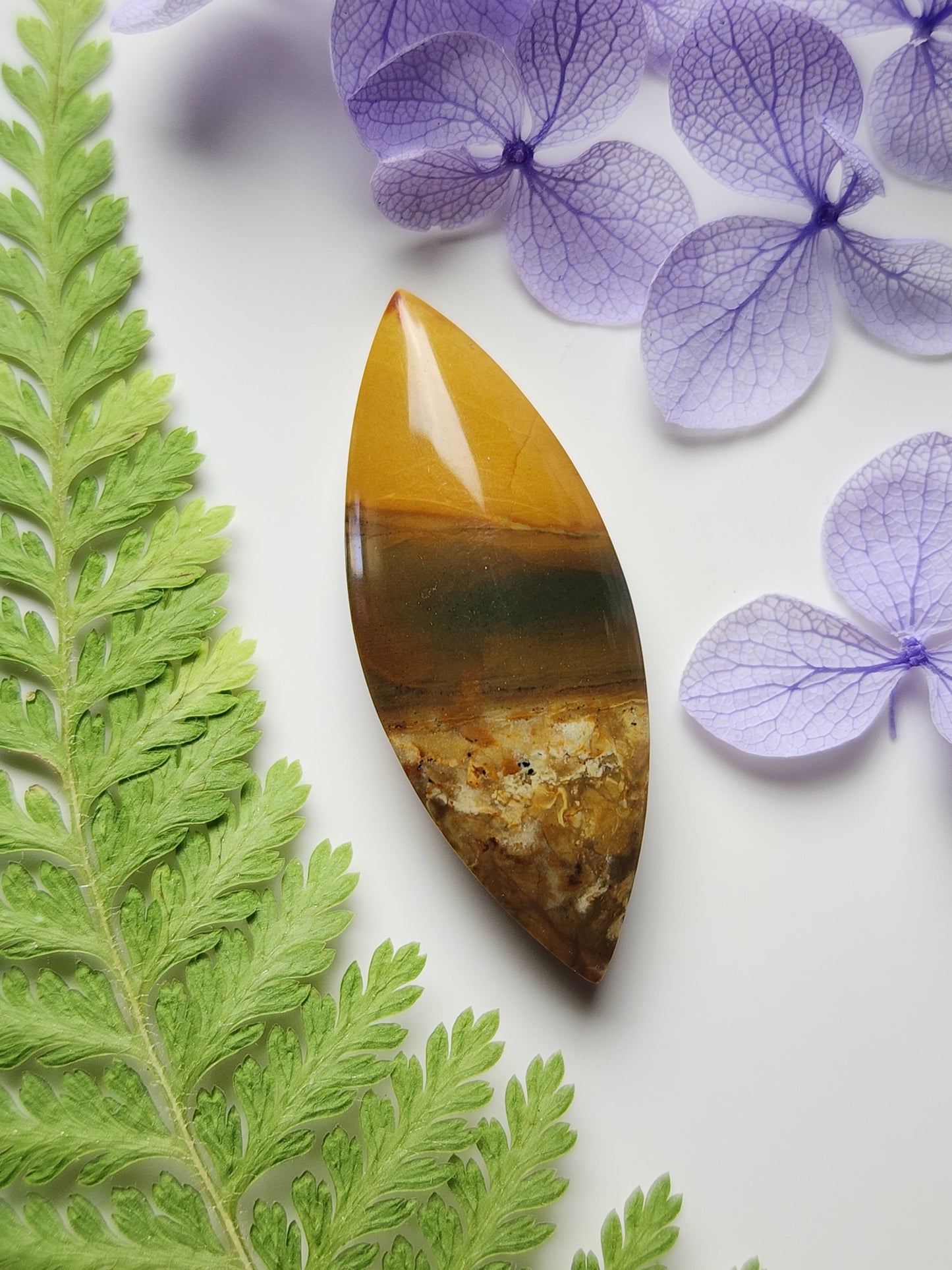 Original Owyhee jasper