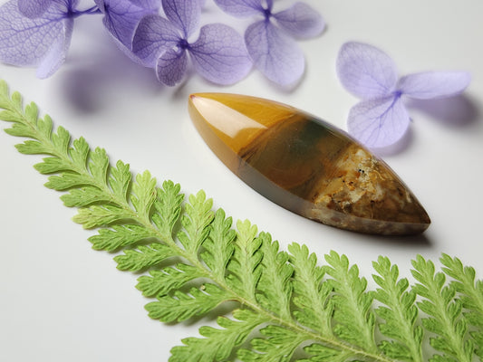 Original Owyhee jasper