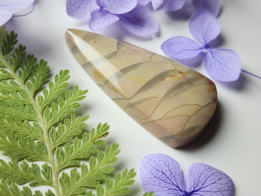 Orbs Polychrome jasper