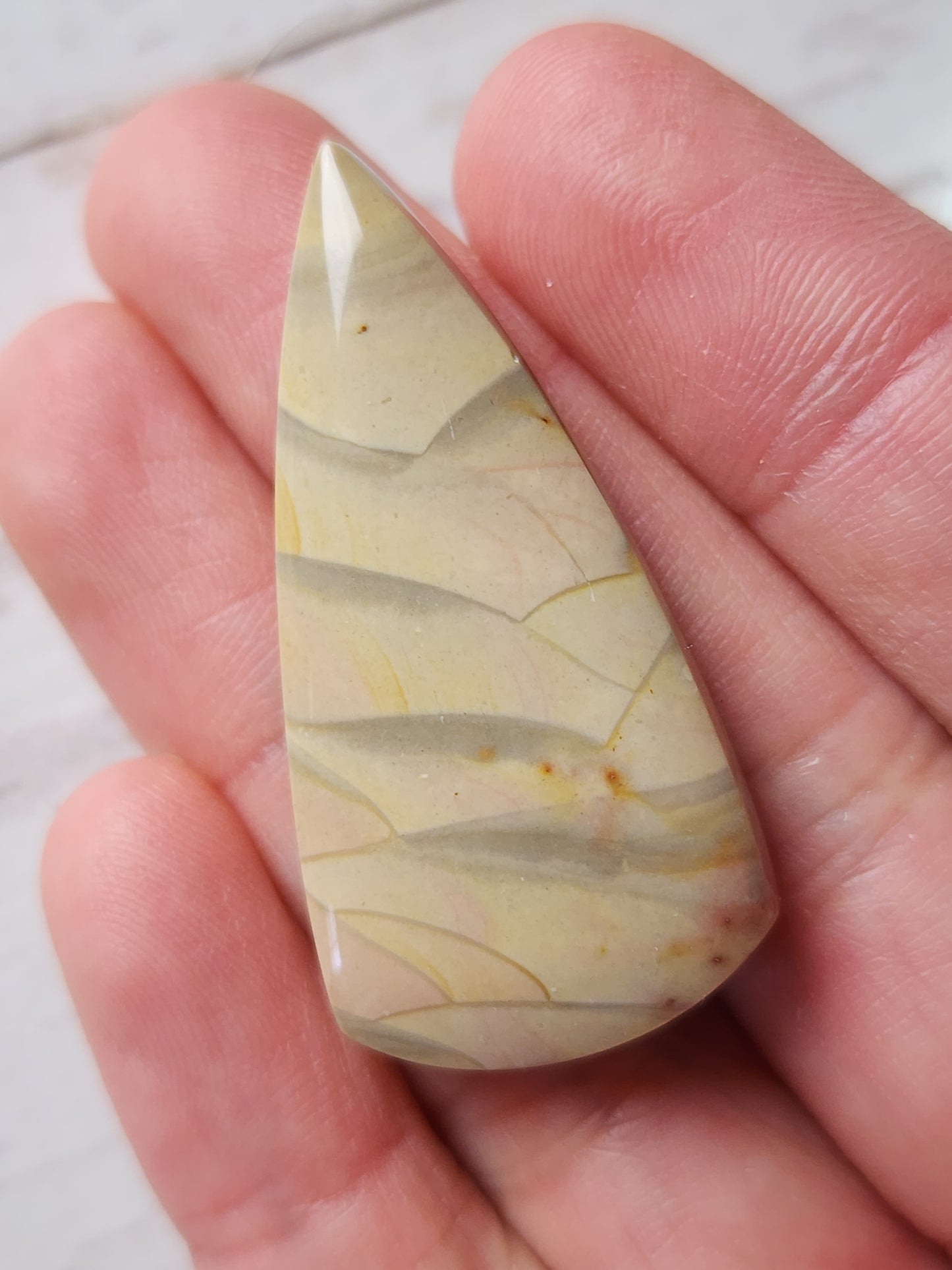 Orbs Polychrome jasper
