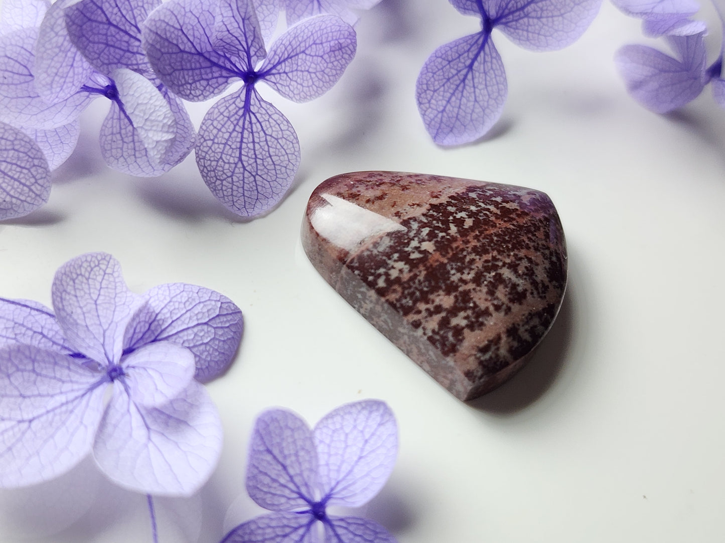 Mimbres Dendritic Rhyolite