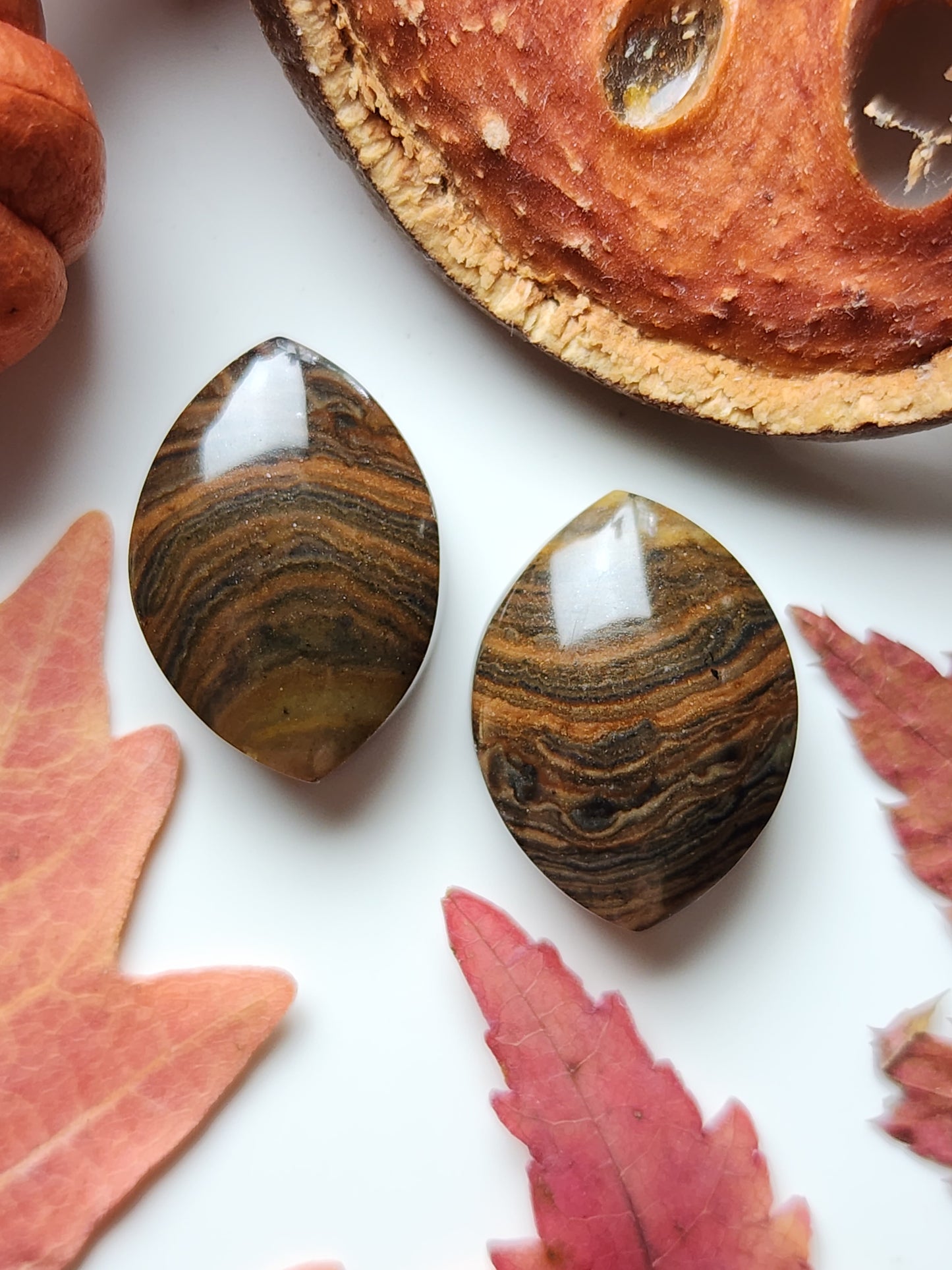 Royal Sahara jasper pair