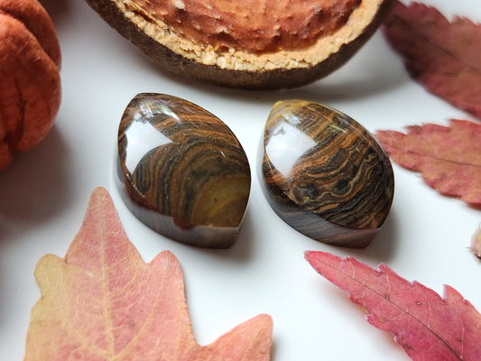 Royal Sahara jasper pair
