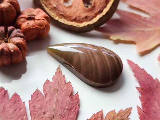 Royal Imperial jasper