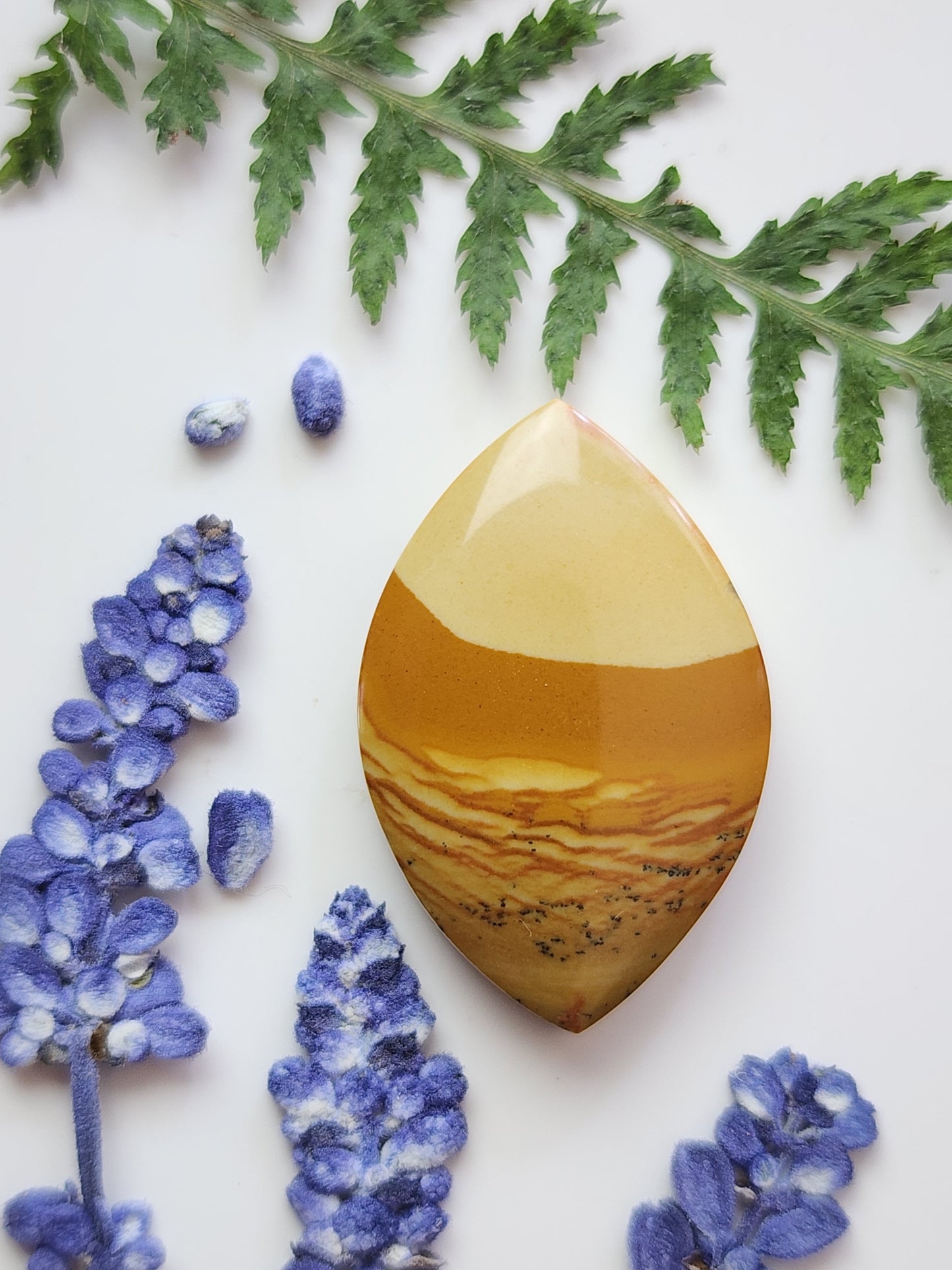 Owyhee picture jasper