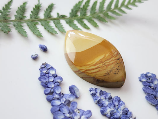 Owyhee picture jasper