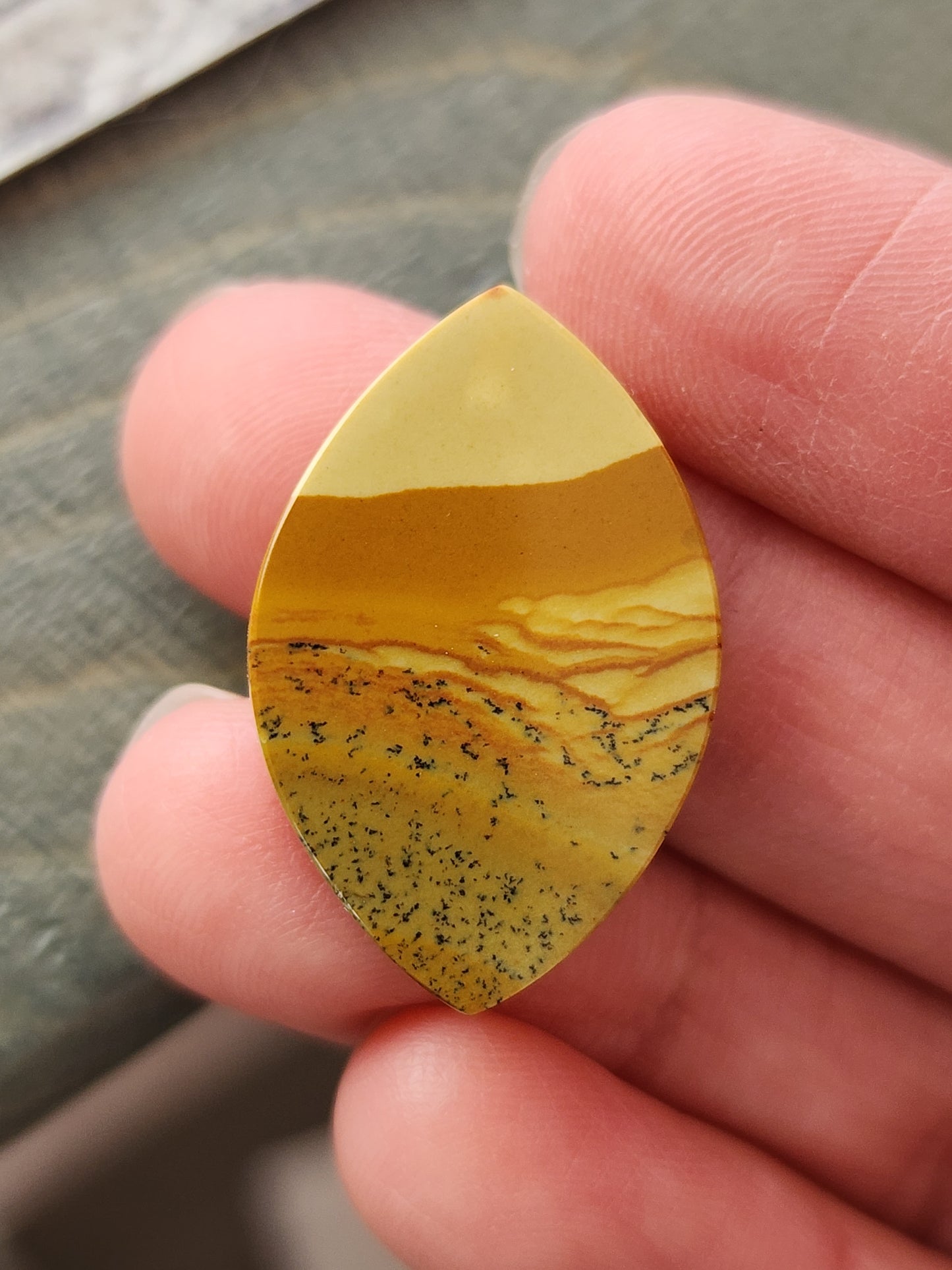 Owyhee picture jasper