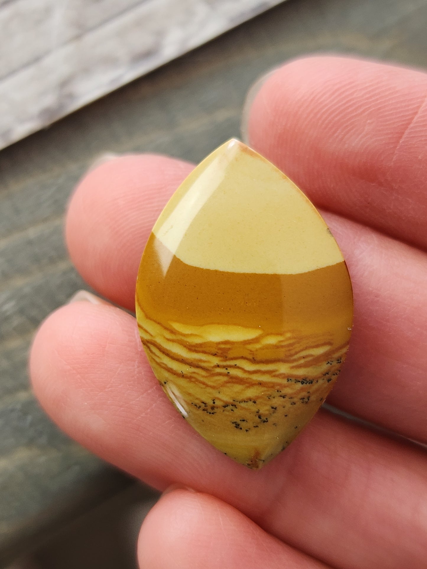 Owyhee picture jasper