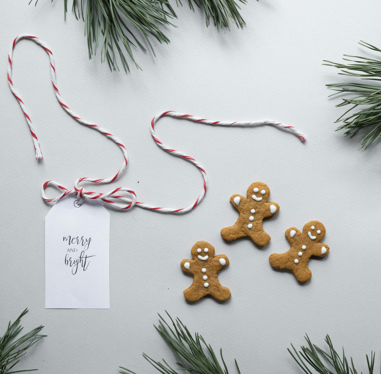 SayaSukaBone Gift Certificate