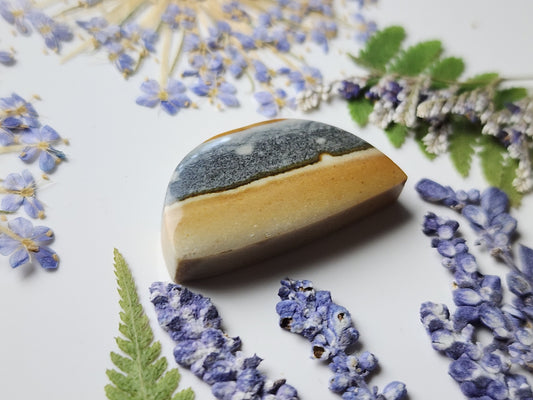 Starry night picture jasper