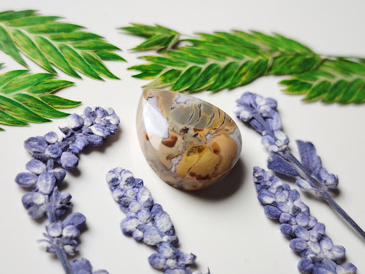 Brecciated Ibis jasper