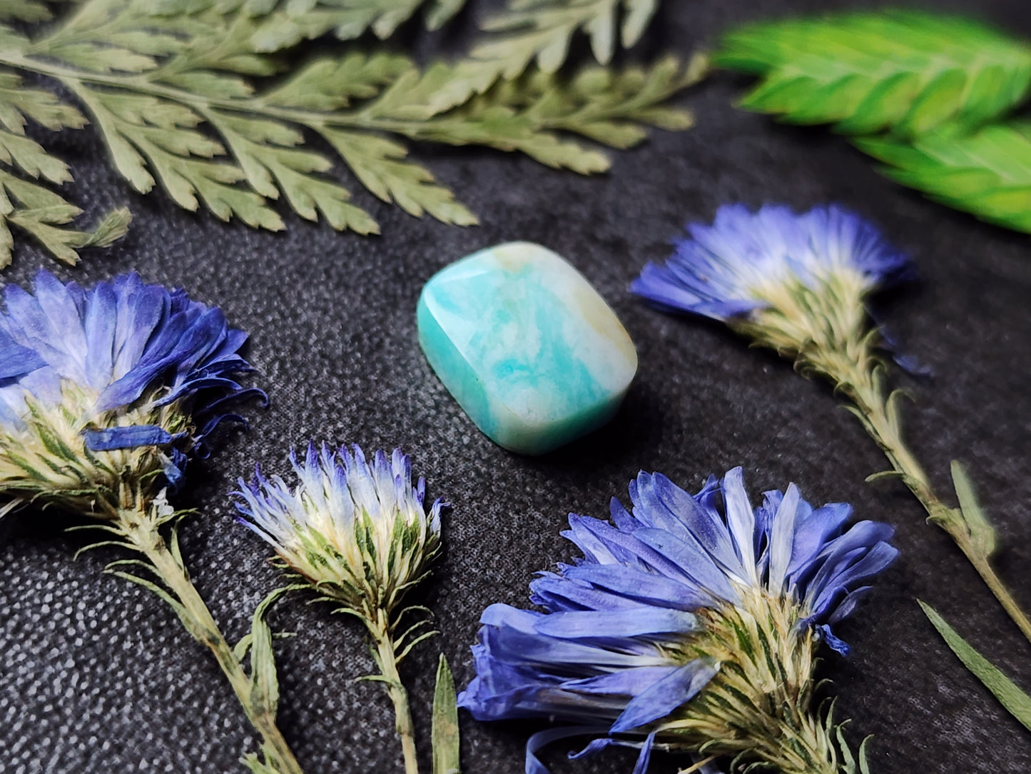 Petrified Blue opalized wood