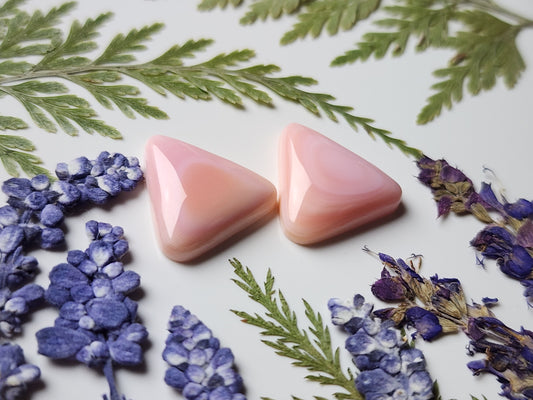 Pink Conch shell pair