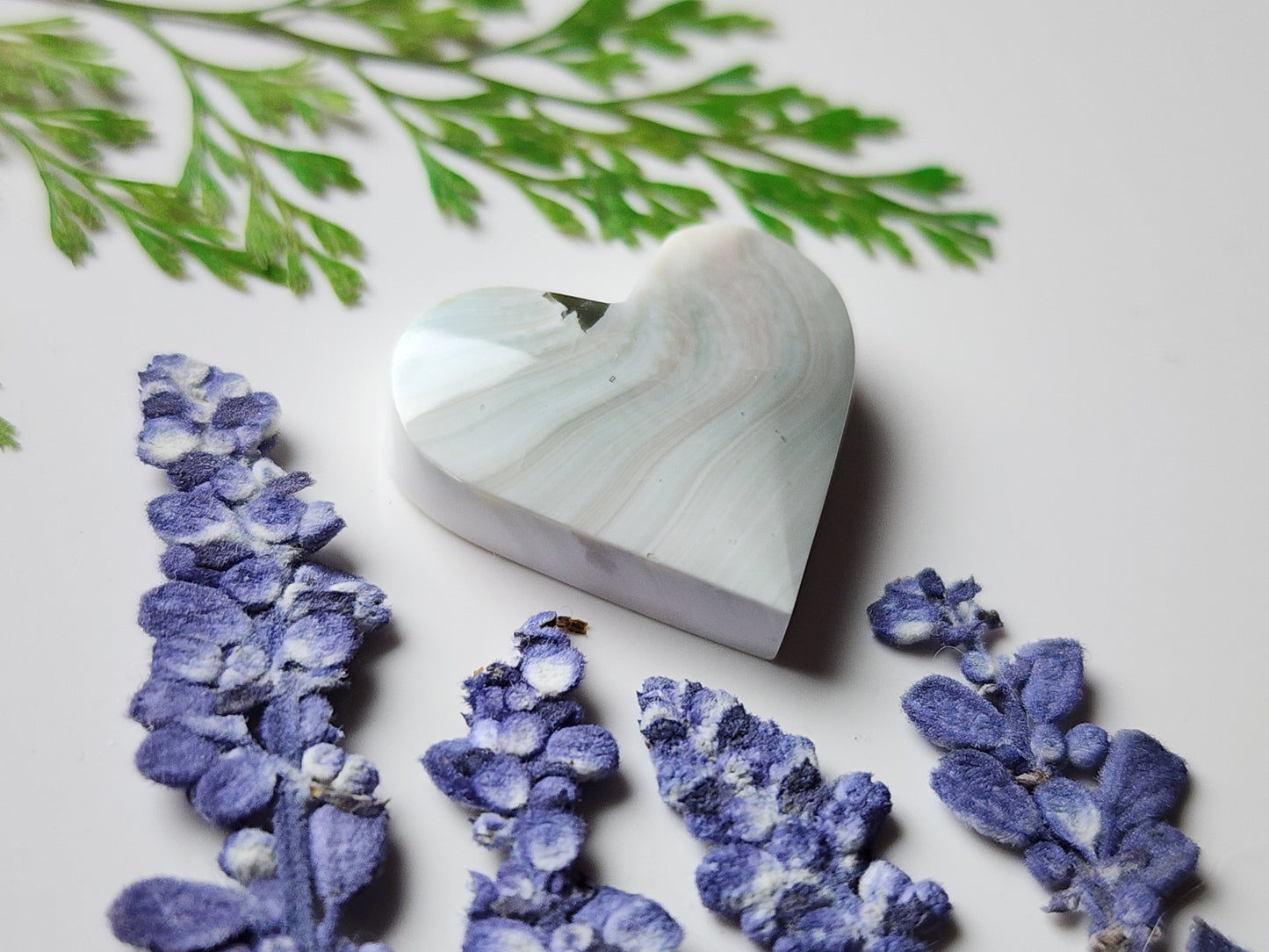 Shiva shell heart