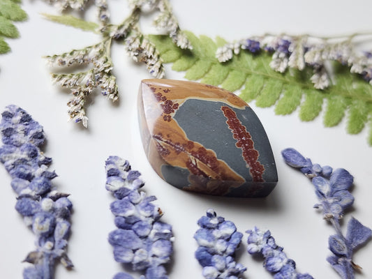 Sonoran Dendritic Rhyolite