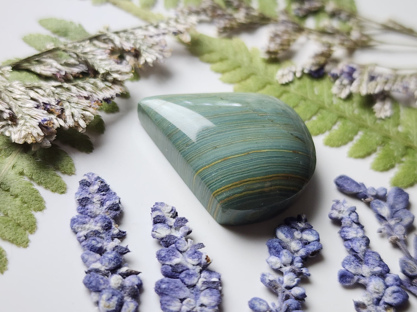 Gary Green jasper