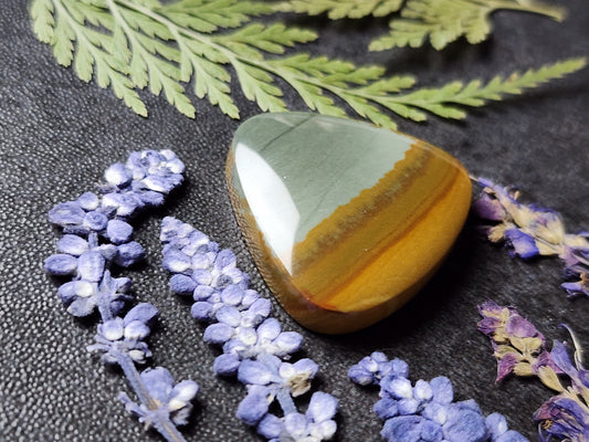 Owyhee picture jasper