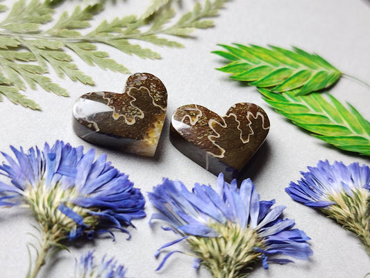 Suture Ammonite heart pair