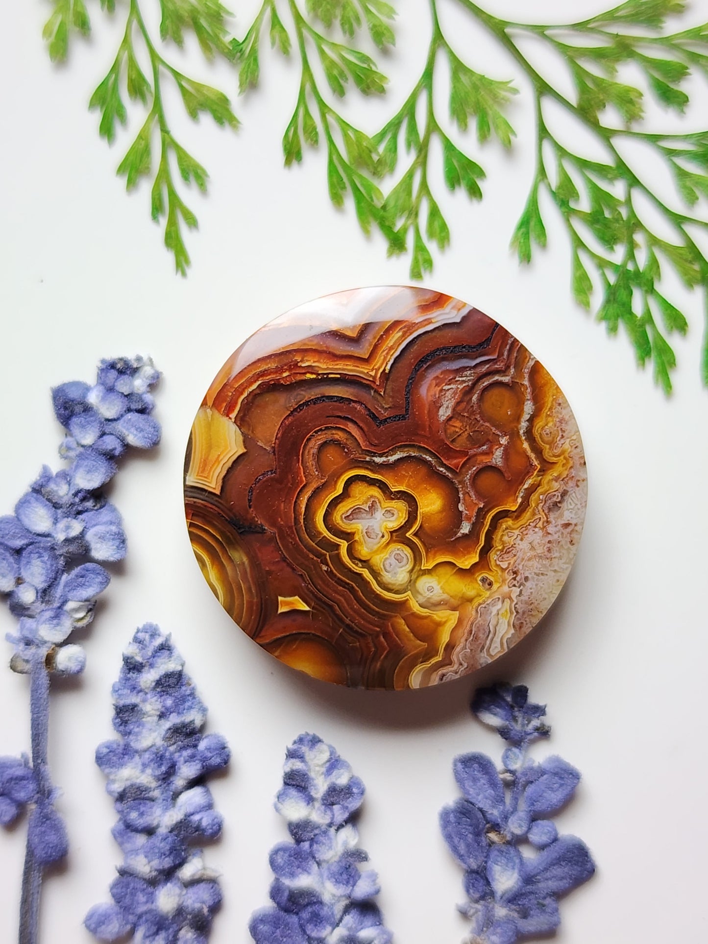 Laguna lace agate