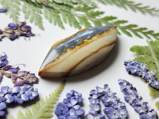 Starry night picture jasper
