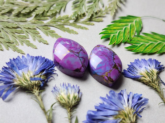 Kingman Mohave Turquoise with bronze pair