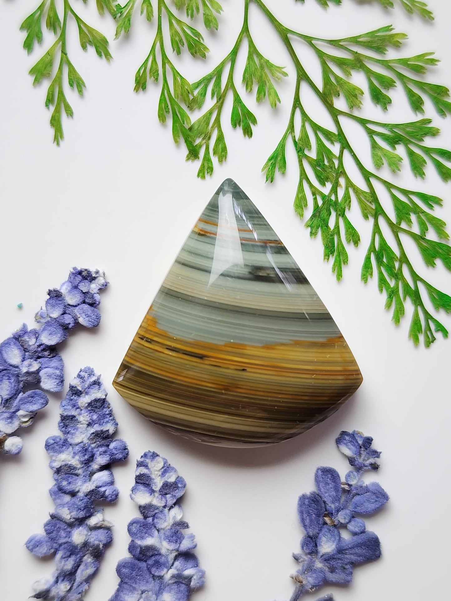 Blue Mountain jasper