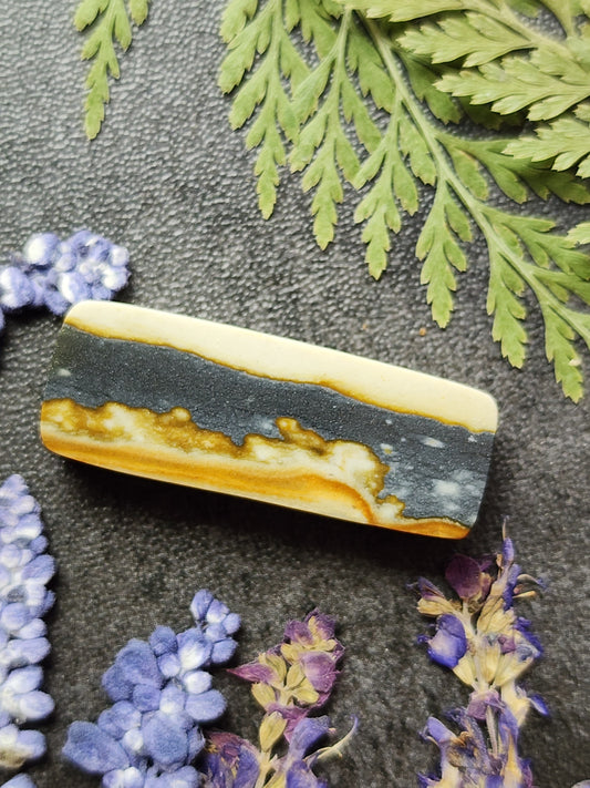 Starry night picture jasper