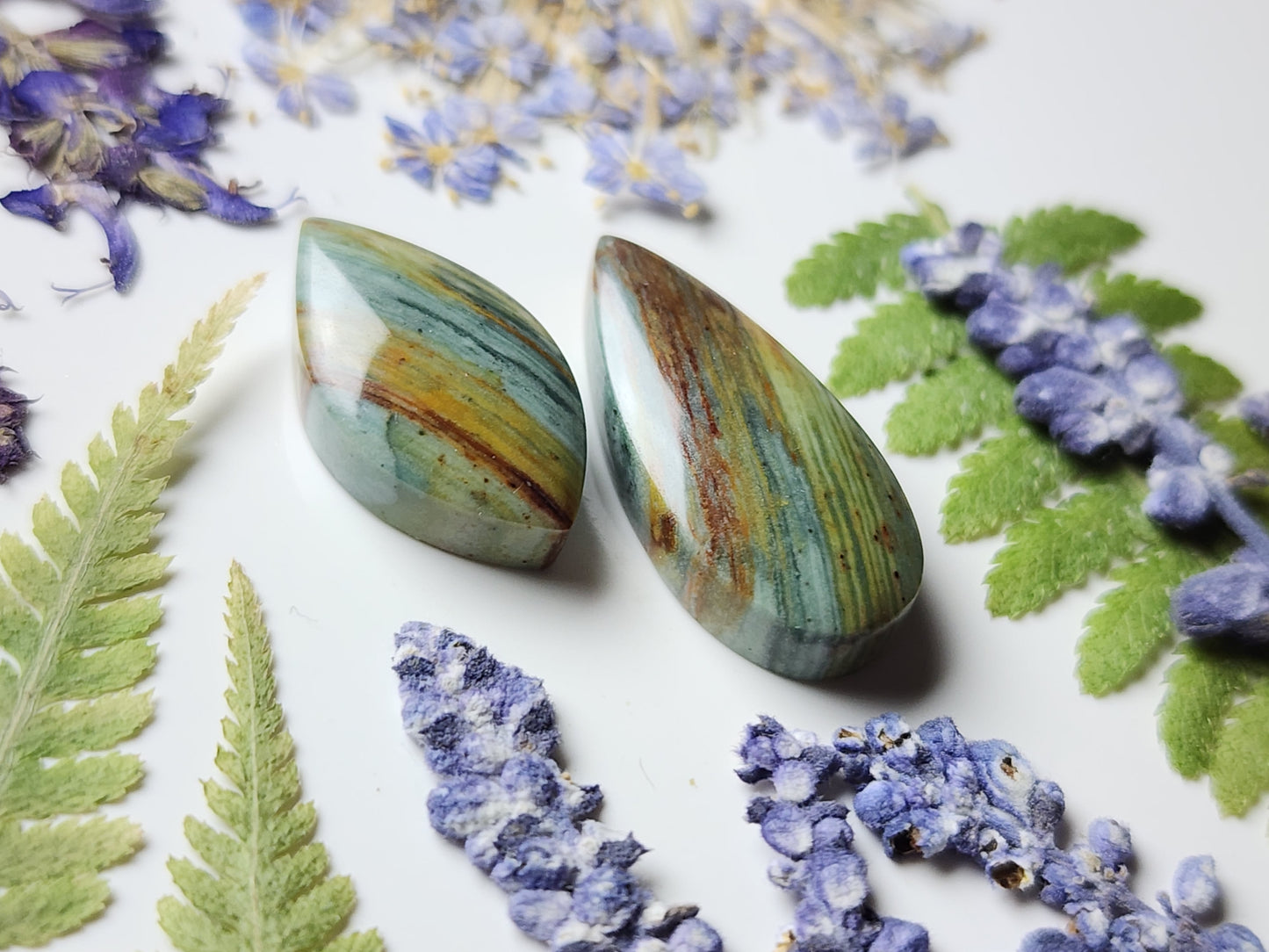 Gary Green jasper