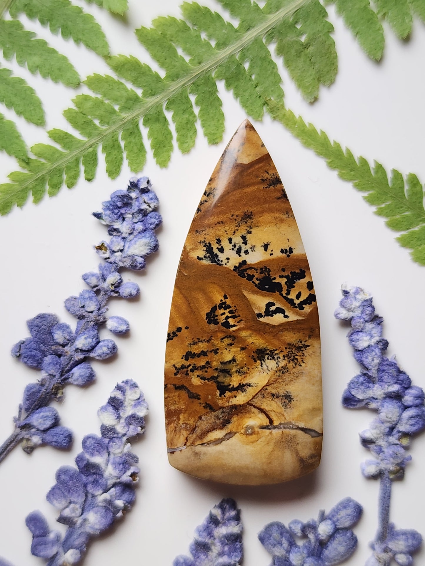 Biggs jasper