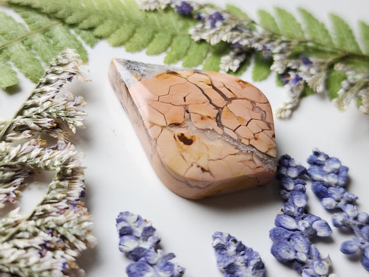 Brecciated Ibis jasper