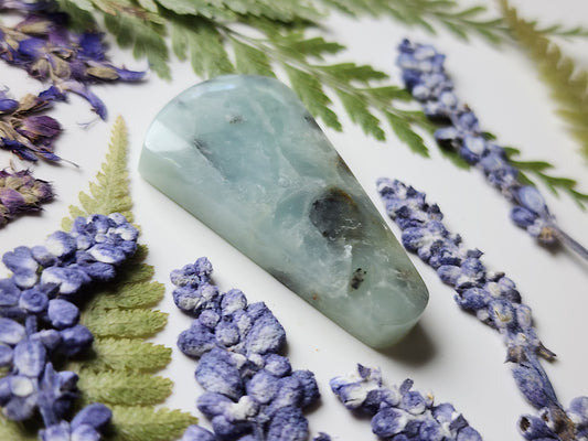 BC Ocean Picture stone