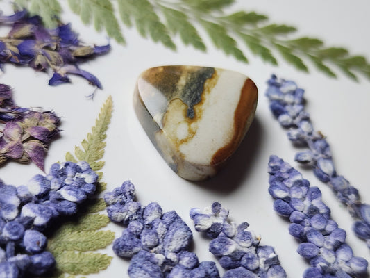 Starry night picture jasper