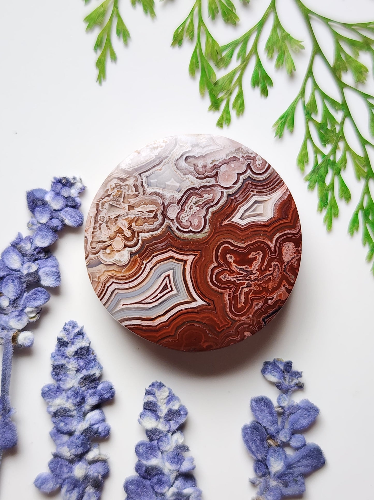 Laguna lace agate