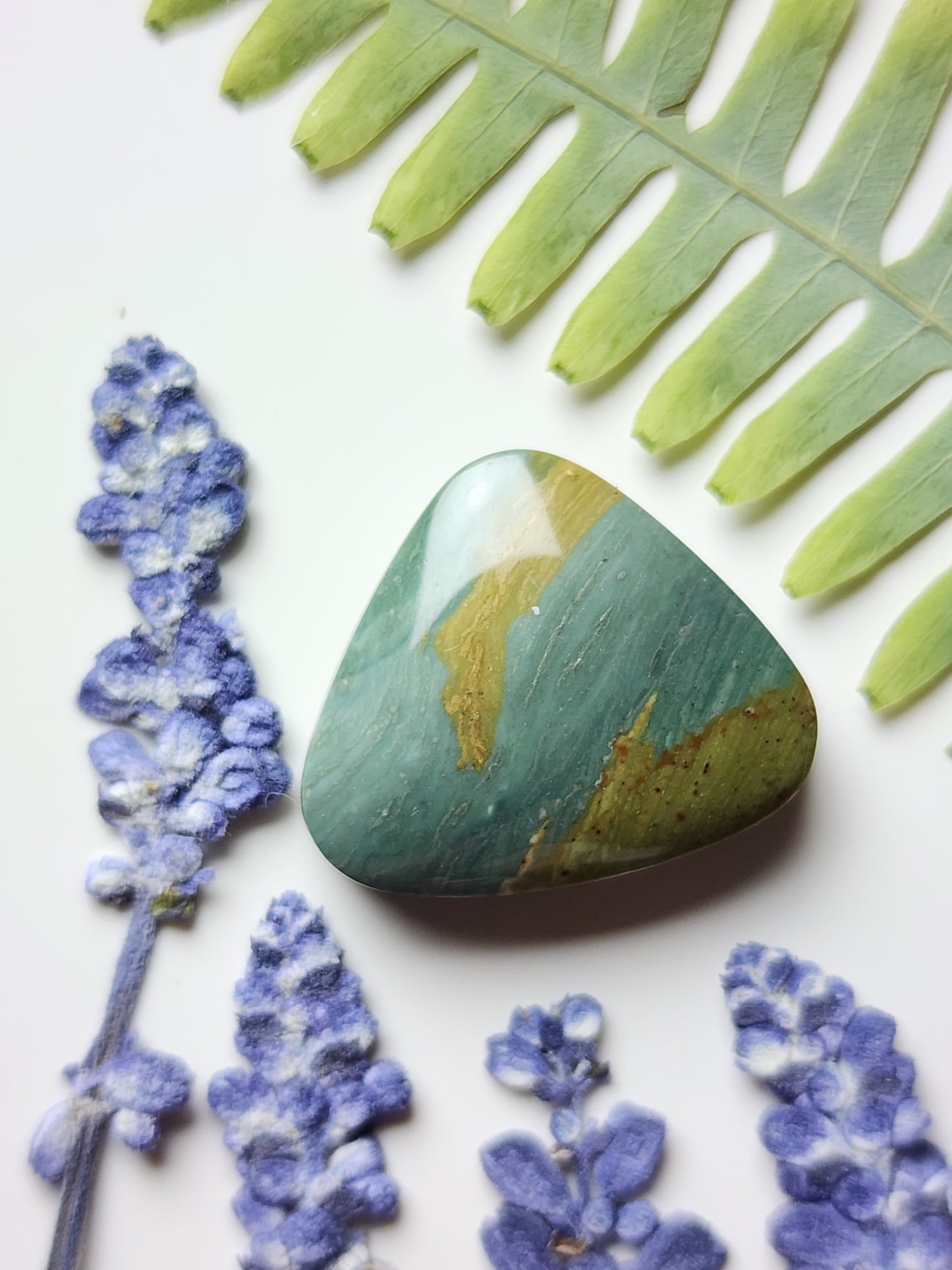 Gary Green jasper