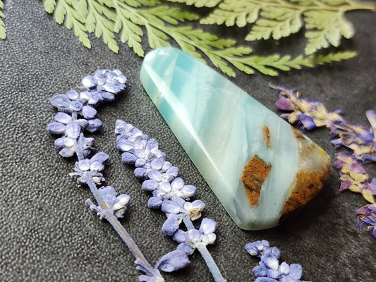 BC Ocean Picture Stone