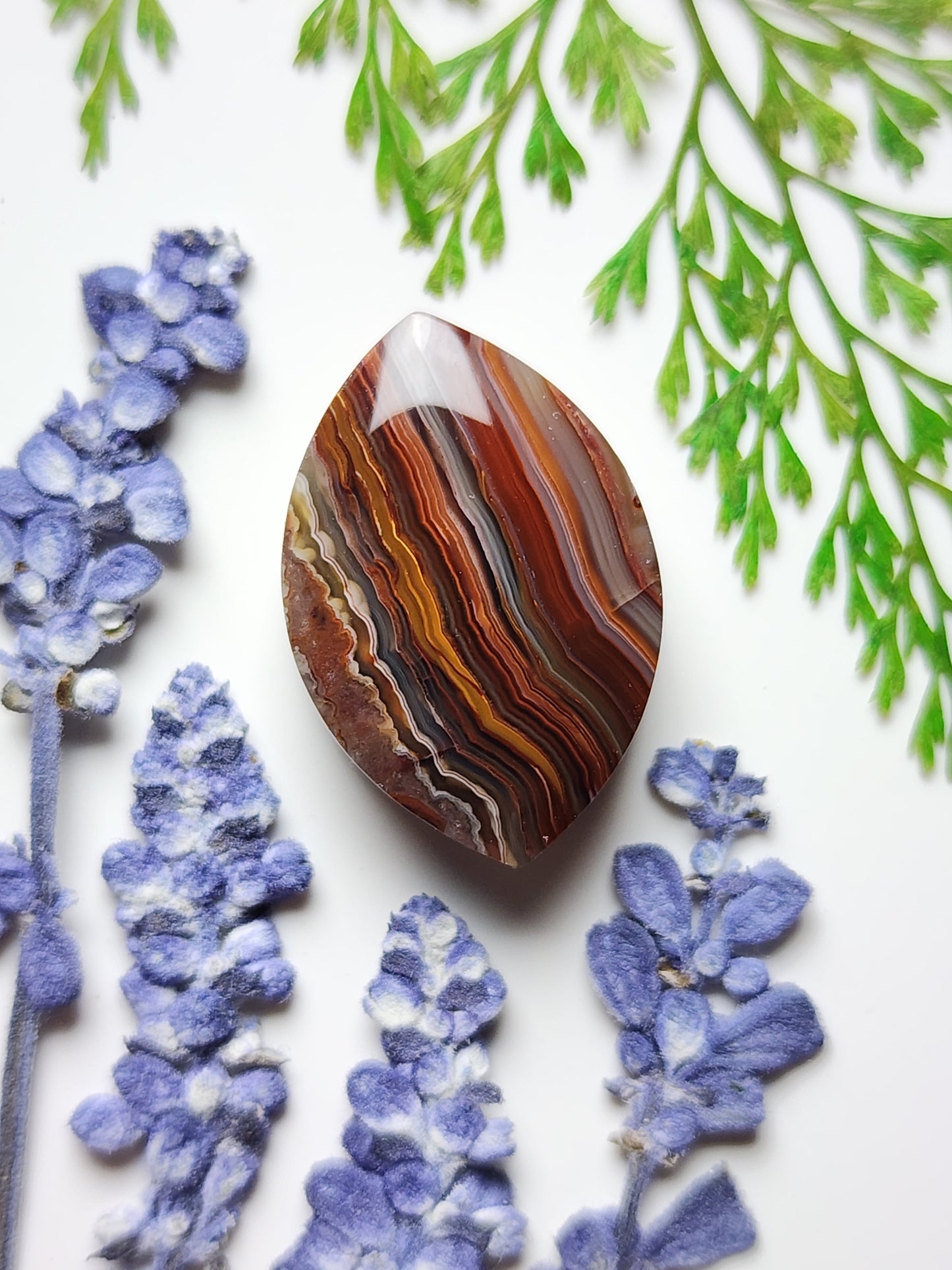 Laguna lace agate