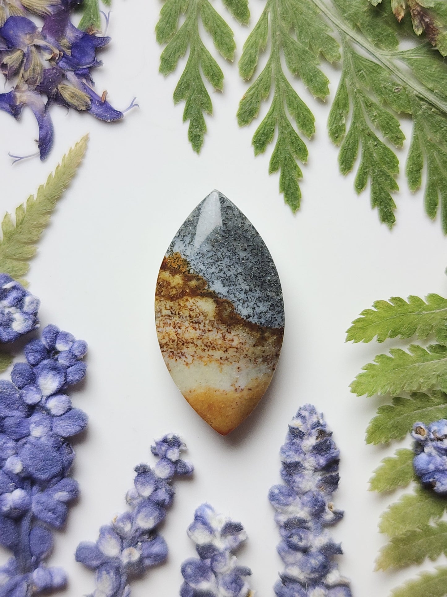 Starry night picture jasper