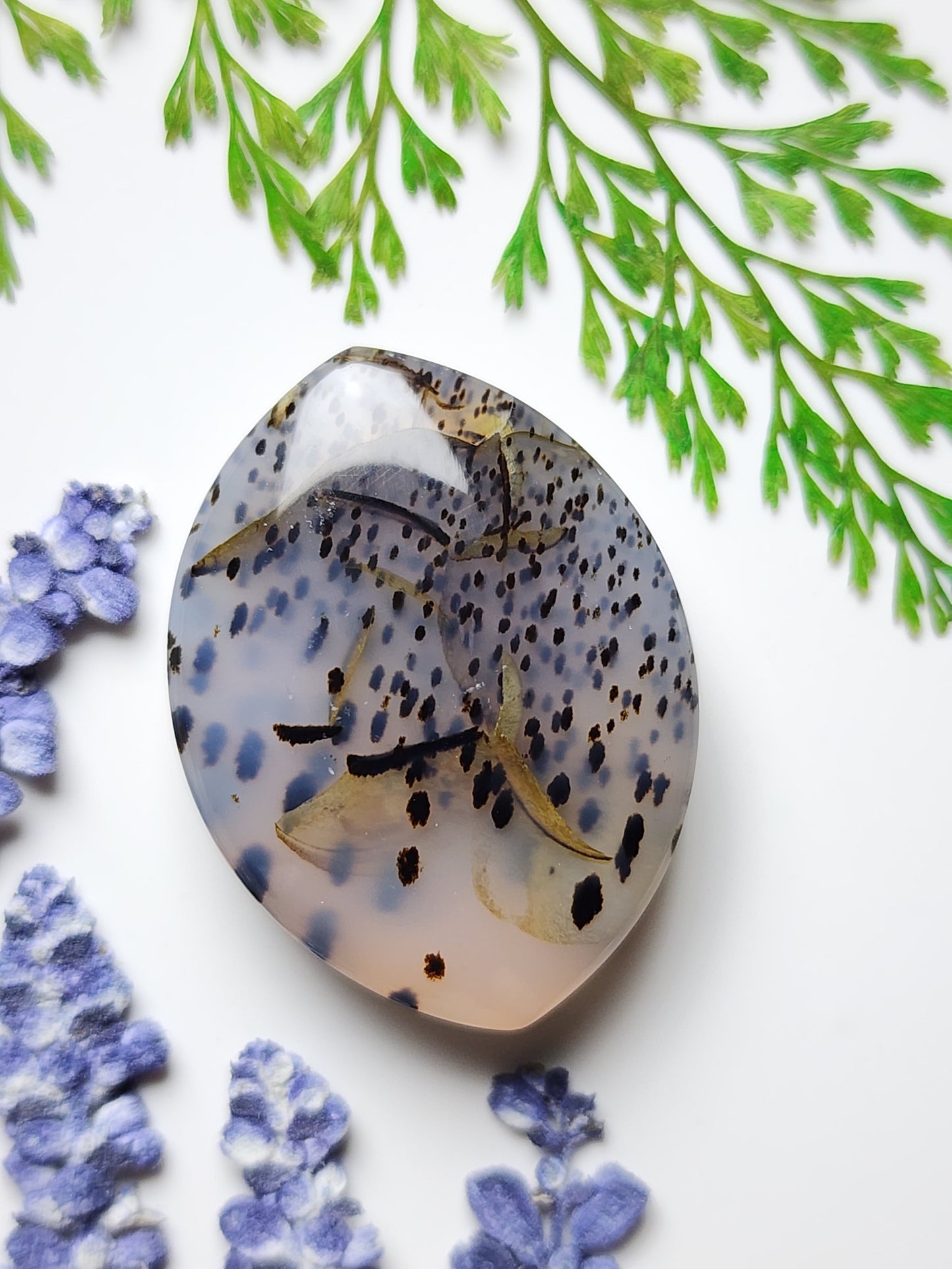 Montana agate
