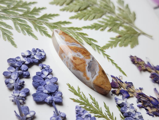 Brecciated Ibis jasper