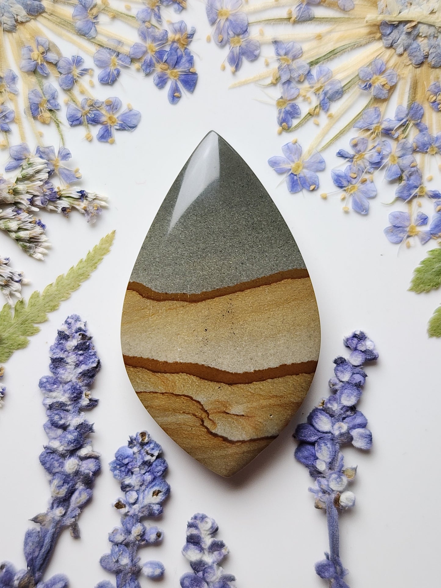 Cripple Creek picture jasper