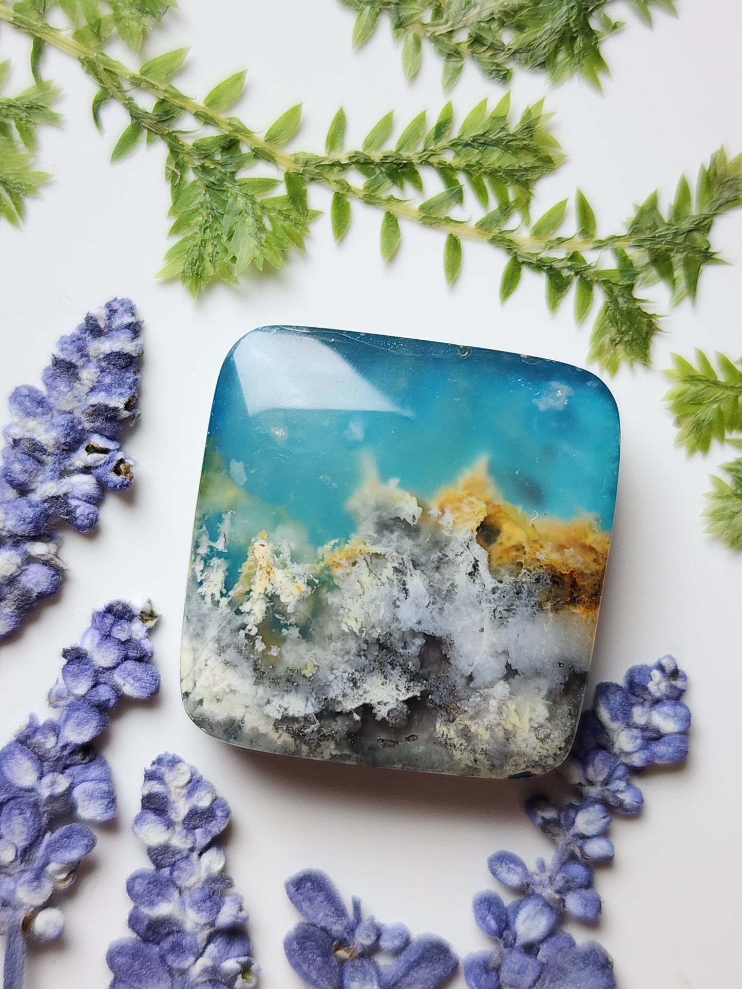 Bella Vista plume agate Doublet