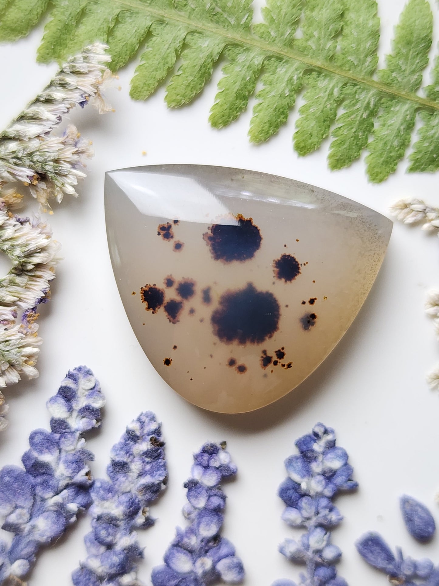 Montana agate