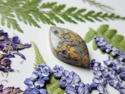 Brecciated Ibis jasper