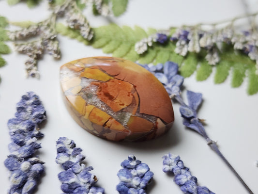 Brecciated Ibis jasper