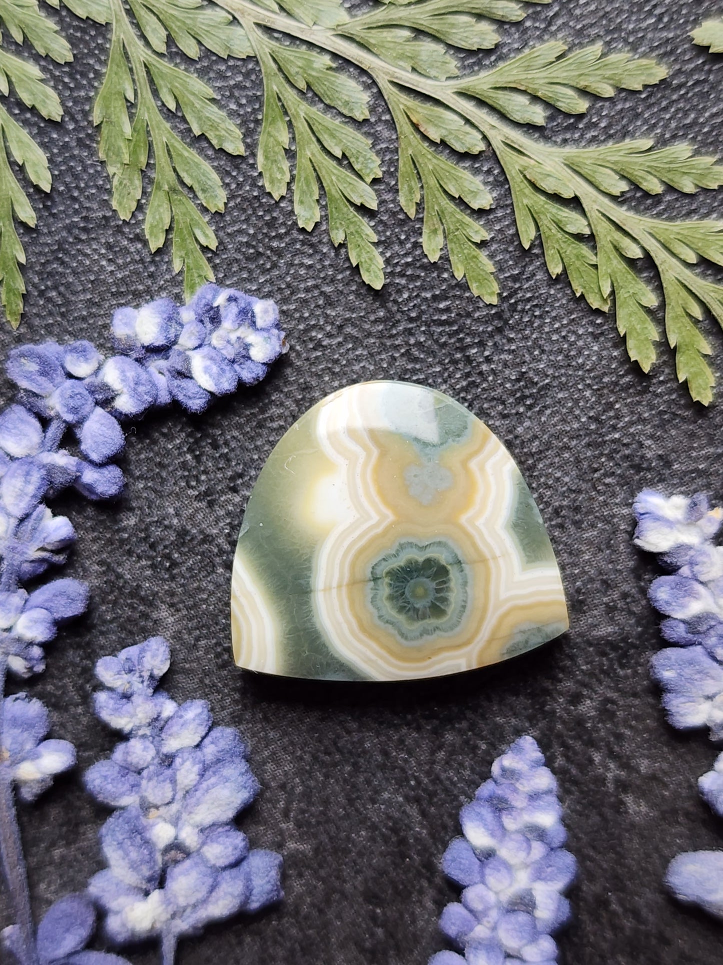 Ocean jasper